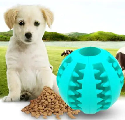 Pelota interactiva de juguete para perros
