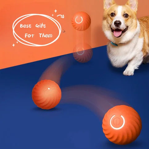 Pelota masticable de goma duradera para perros
