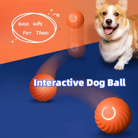 Pelota masticable de goma duradera para perros